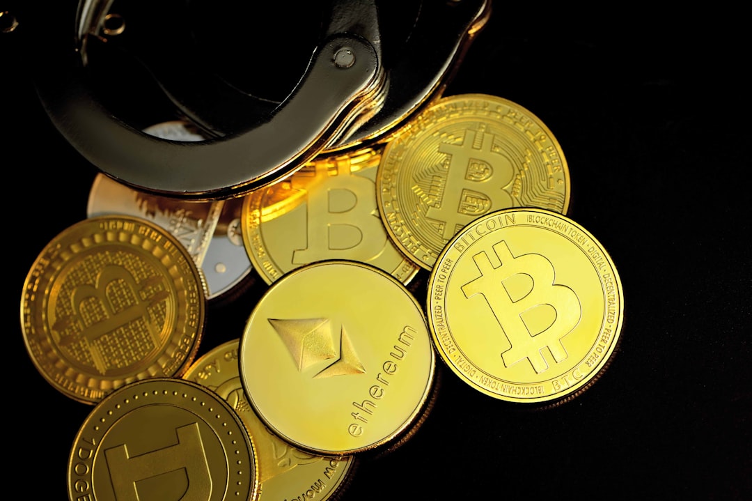 gold round coins on black leather bag