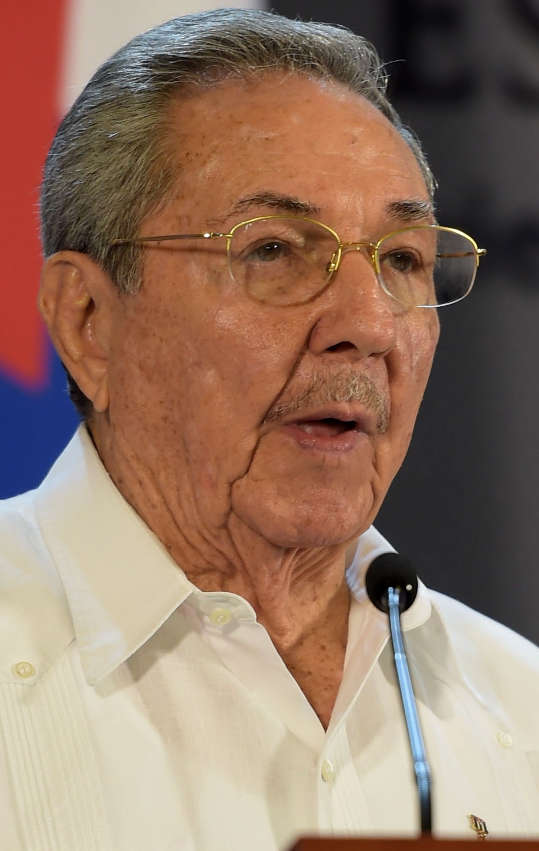 Visita de Estado del Presidente de República de Cuba, Raúl Castro