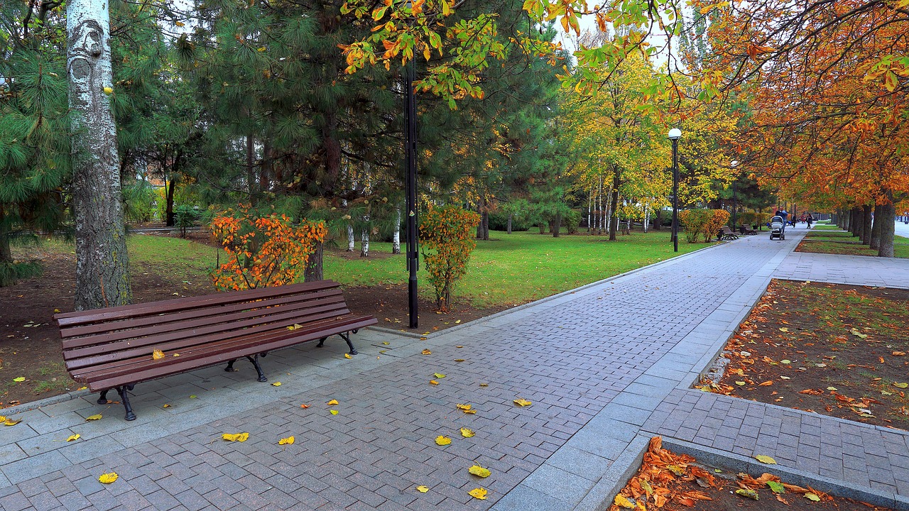 autumn, the park, bench, track, listopad, gold, urban, landscape, stroll, leaves, mood, russia, nature, rostov-on-don