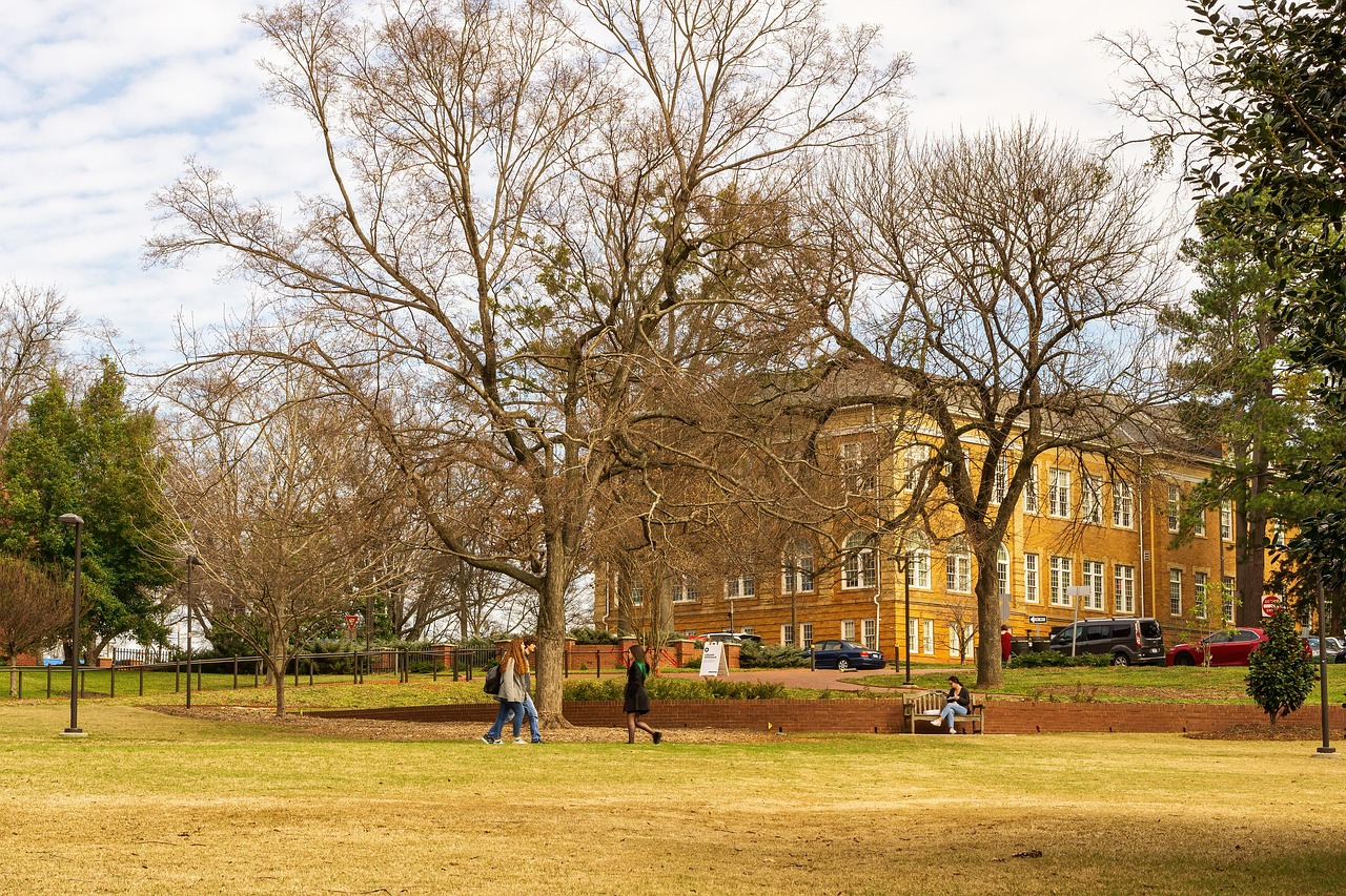 nc state, north carolina state, nc state campus, university, education, academic, carolina, students, landmark, nc, camp